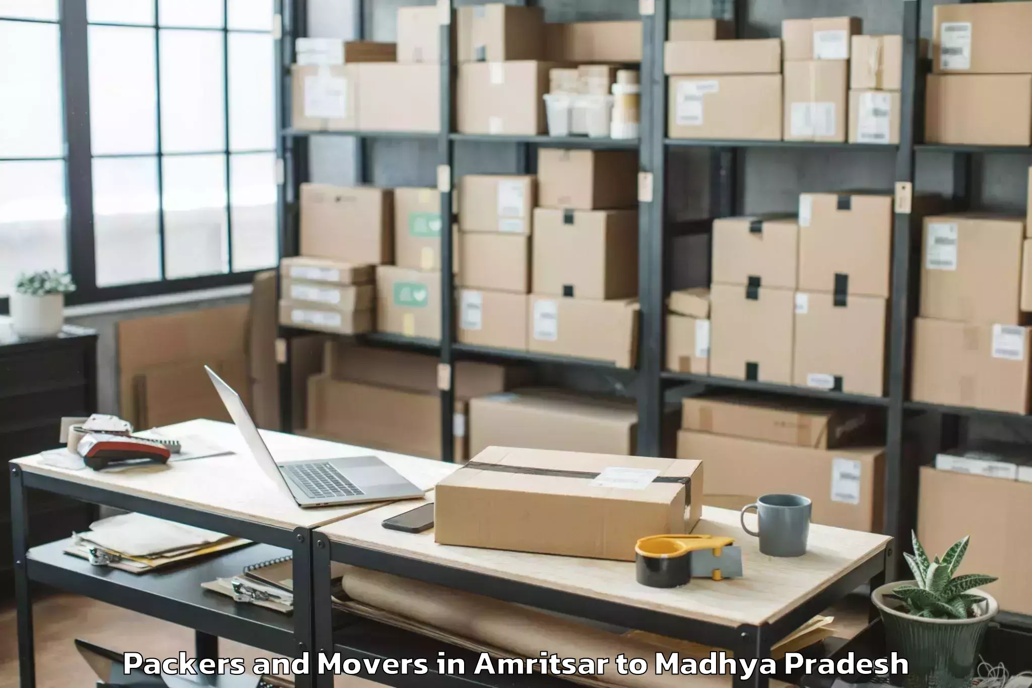 Professional Amritsar to Bhopal Airport Bho Packers And Movers